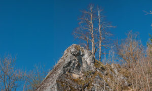 Mountain rocks with blue sky in National Park Harz in GermanyMountain rocks with blue sky in National Park Harz in Germany Mountain rocks with blue sky in National Park Harz in GermanyMountain rocks with blue sky in National Park Harz in Germany